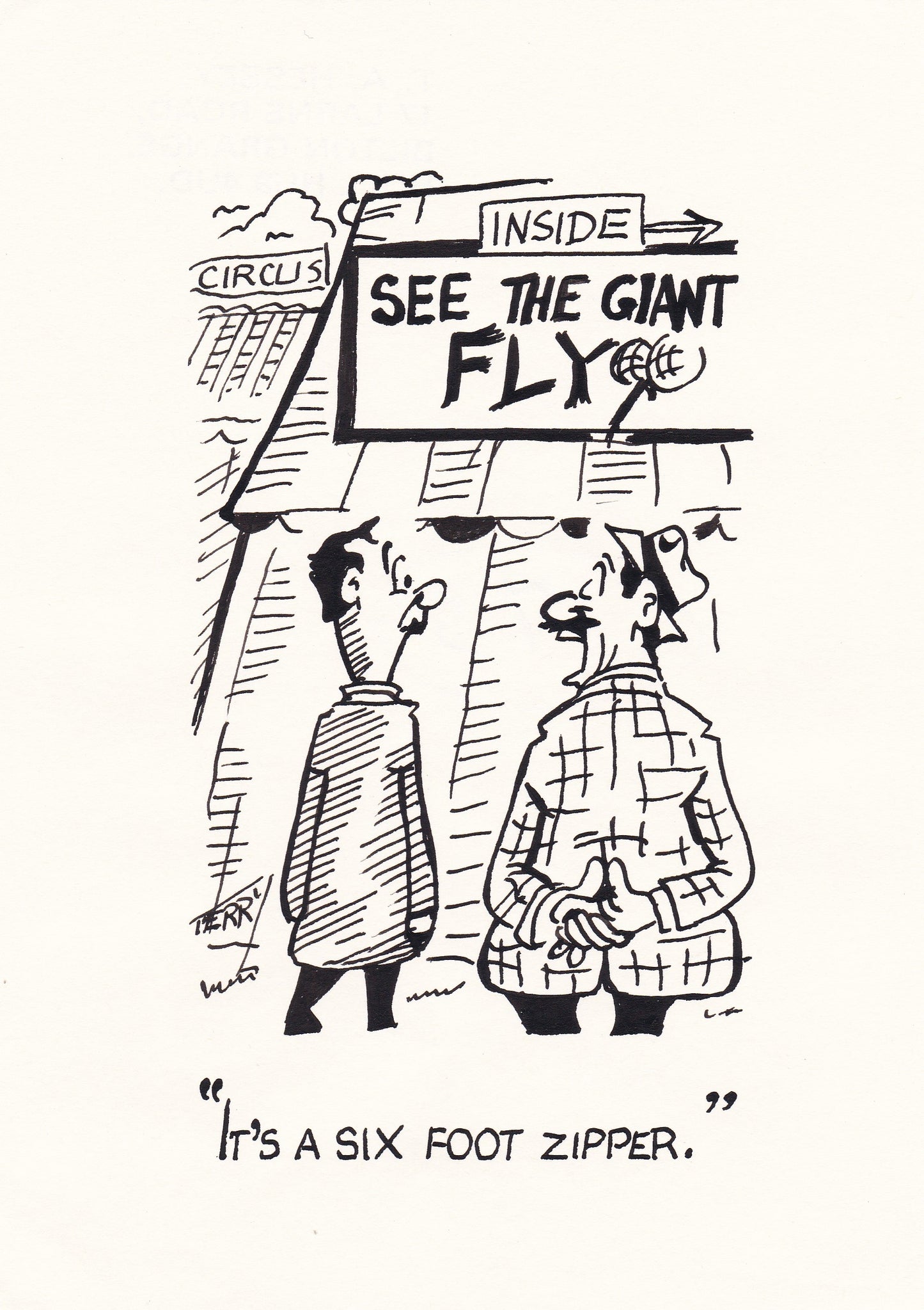 Giant Fly. Original Hand Drawn Cartoon Drawing
