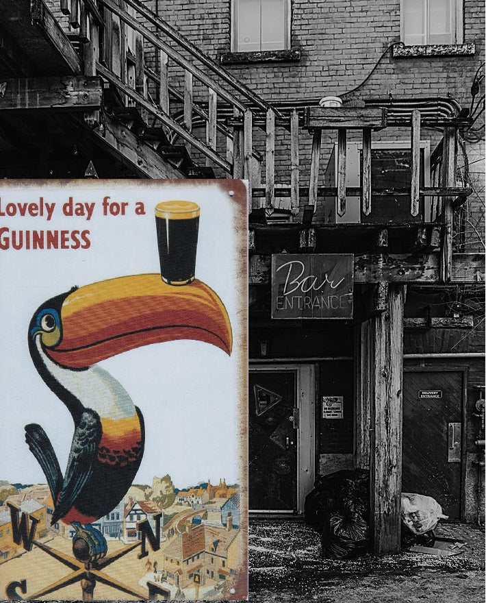 guinness toucan vintage metal sign